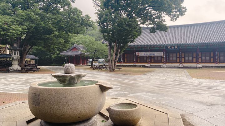 Find Your Inner Peace with a Temple Stay in Korea